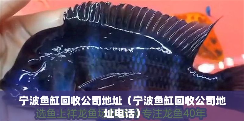 寧波魚缸回收公司地址（寧波魚缸回收公司地址電話）