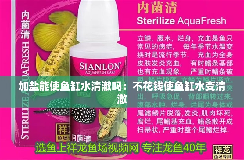 加鹽能使魚缸水清澈?jiǎn)幔翰换ㄥX使魚缸水變清澈