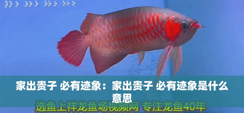 家出貴子 必有跡象：家出貴子 必有跡象是什么意思