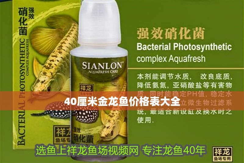 40厘米金龍魚價格表大全