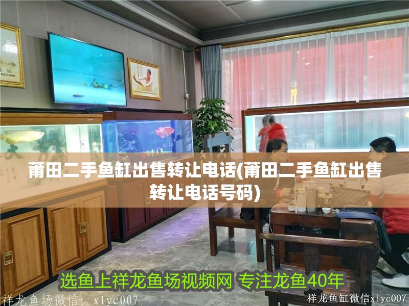 莆田二手魚缸出售轉讓電話(莆田二手魚缸出售轉讓電話號碼)
