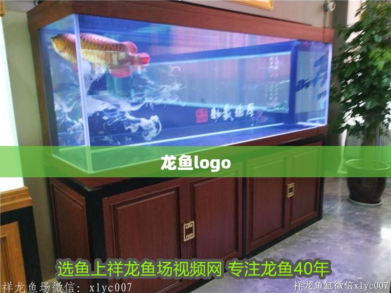 龍魚logo