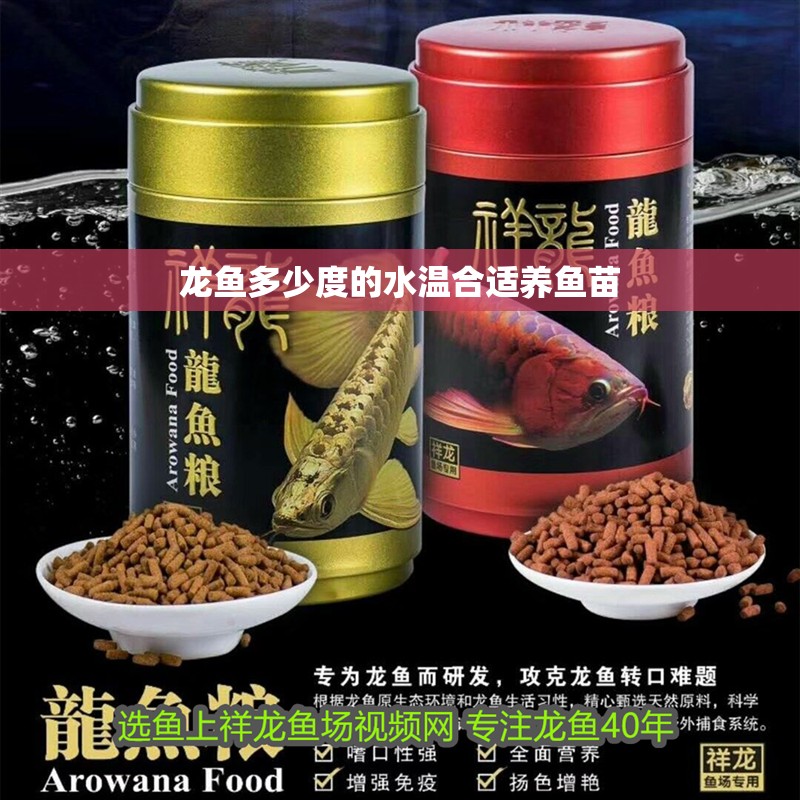 龍魚多少度的水溫合適養魚苗