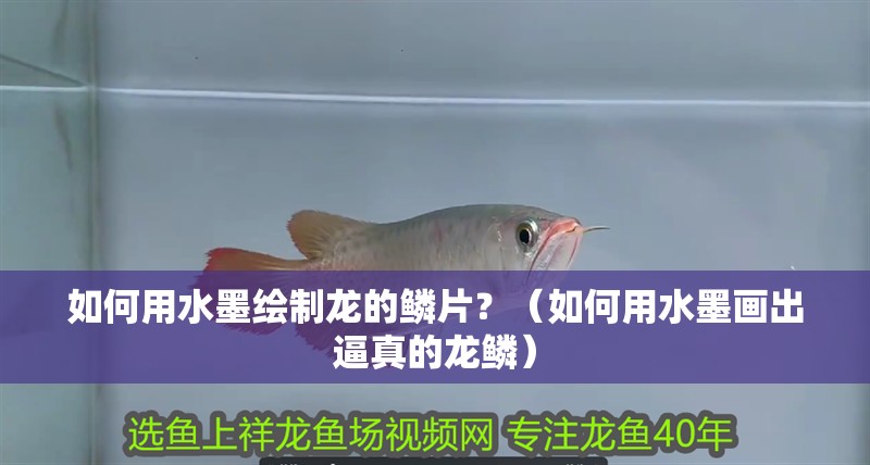 魚缸過濾器選購指南:自制魚缸過濾器魚缸上置過濾器對于養魚愛好者的必備知識 如何用水墨繪制龍的鱗片?(如何用水墨畫出逼真的龍鱗) 龍魚百科 如何用水墨繪制龍的鱗片?(如何用水墨畫出逼真的龍鱗) 如何用水墨繪制龍的鱗片?(如何用水墨畫出逼真的龍鱗) 龍魚百科