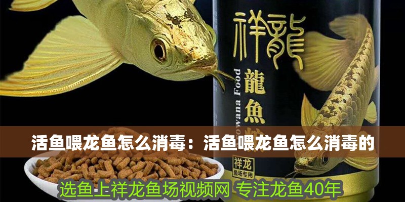 活魚喂龍魚怎么消毒：活魚喂龍魚怎么消毒的 活魚喂龍魚怎么消毒：活魚喂龍魚怎么消毒的 龍魚百科 第2張
