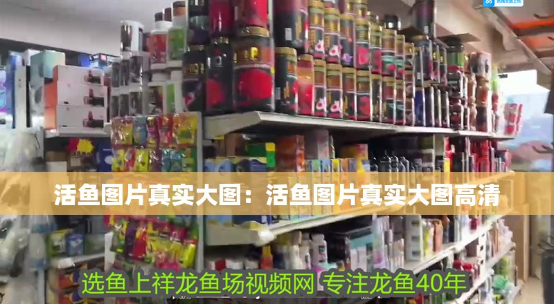 活魚圖片真實大圖：活魚圖片真實大圖高清