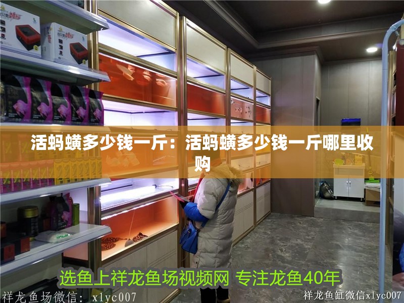 活螞蟥多少錢一斤：活螞蟥多少錢一斤哪里收購