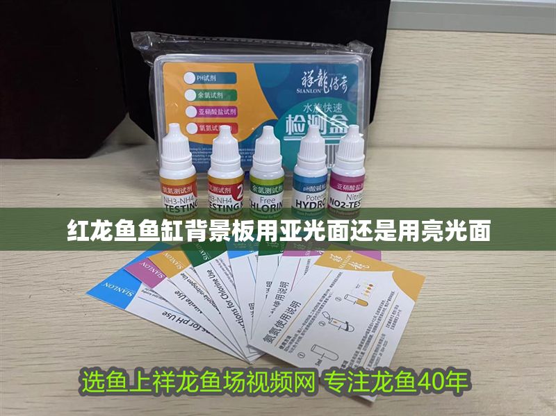 紅龍魚(yú)魚(yú)缸背景板用亞光面還是用亮光面 紅龍魚(yú)魚(yú)缸背景板用亞光面還是用亮光面 龍魚(yú)百科 第2張