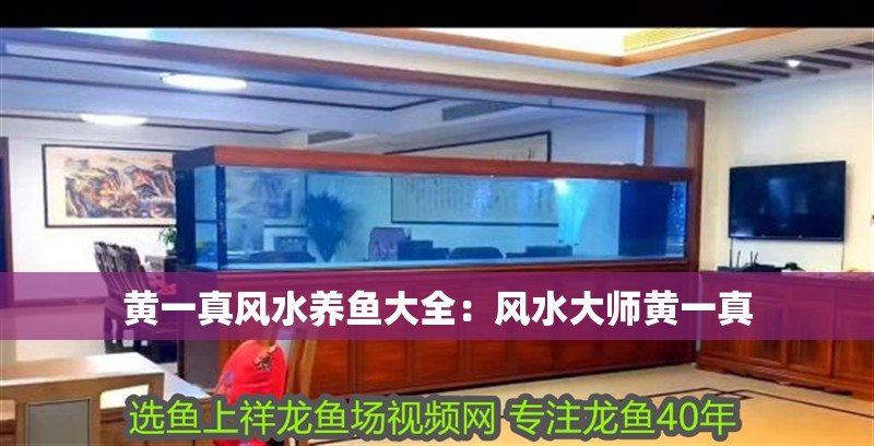 黃一真風水養魚大全：風水大師黃一真