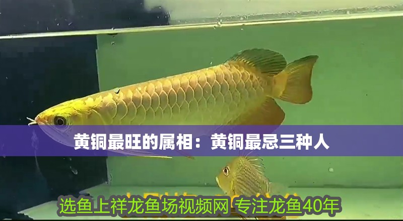 黃銅最旺的屬相：黃銅最忌三種人