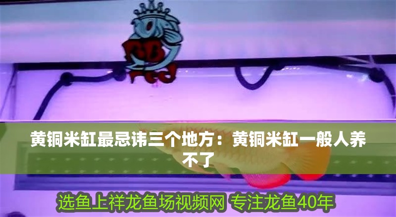 黃銅米缸最忌諱三個地方：黃銅米缸一般人養不了