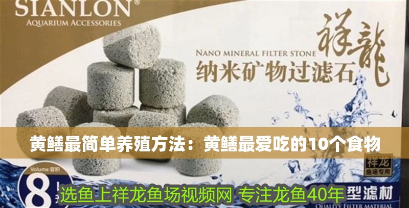 黃鱔最簡(jiǎn)單養(yǎng)殖方法：黃鱔最愛吃的10個(gè)食物