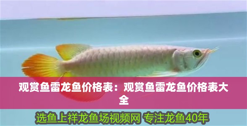 觀賞魚雷龍魚價格表：觀賞魚雷龍魚價格表大全