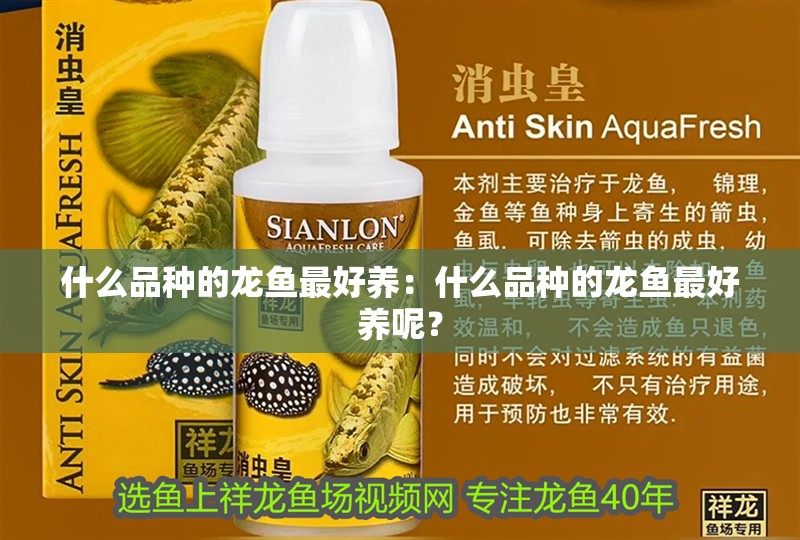 什么品種的龍魚最好養：什么品種的龍魚最好養呢？