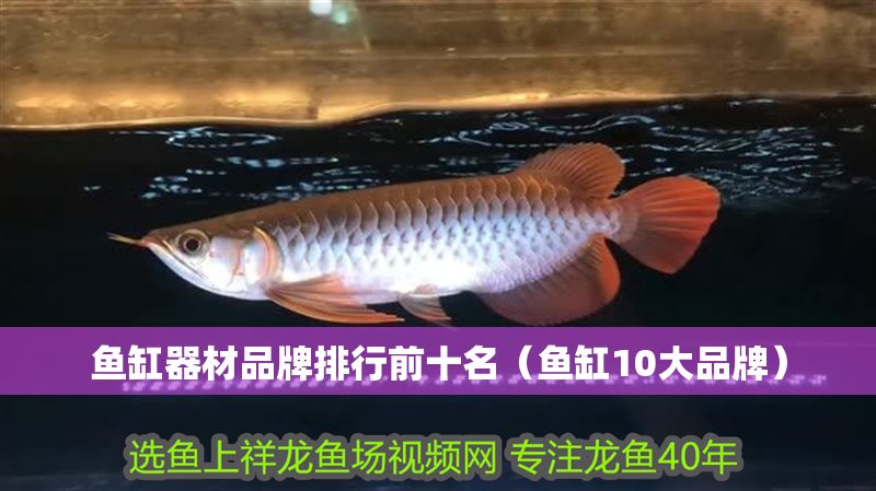 魚缸器材品牌排行前十名（魚缸10大品牌）