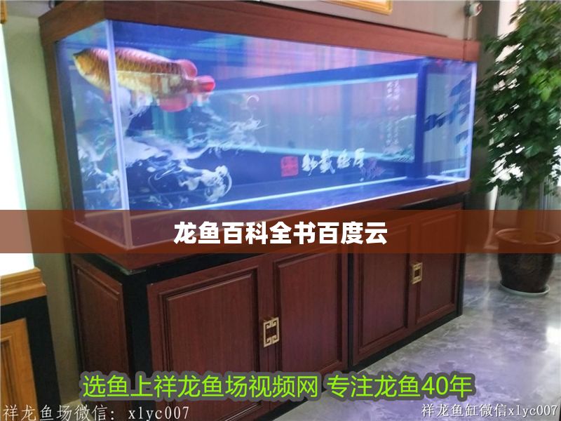 龍魚百科全書百度云