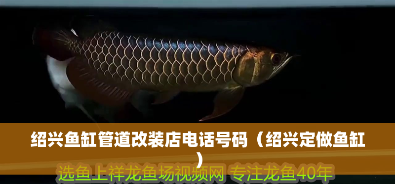 紹興魚缸管道改裝店電話號碼（紹興定做魚缸）