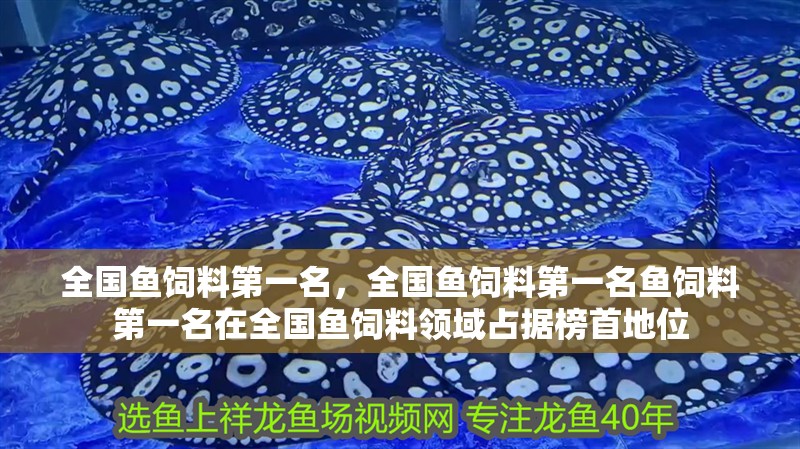 全國魚飼料第一名，全國魚飼料第一名魚飼料第一名在全國魚飼料領域占據榜首地位