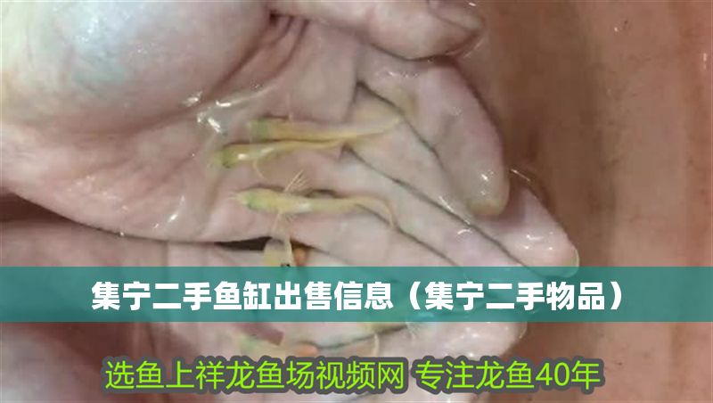 集寧二手魚缸出售信息（集寧二手物品）