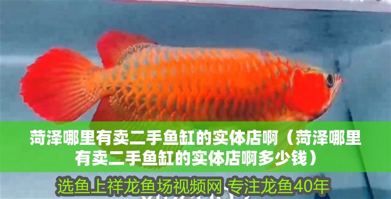 菏澤哪里有賣二手魚缸的實體店啊（菏澤哪里有賣二手魚缸的實體店啊多少錢）
