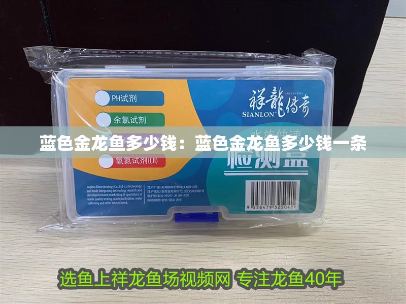 藍色金龍魚多少錢：藍色金龍魚多少錢一條 藍色金龍魚多少錢：藍色金龍魚多少錢一條 水族問答