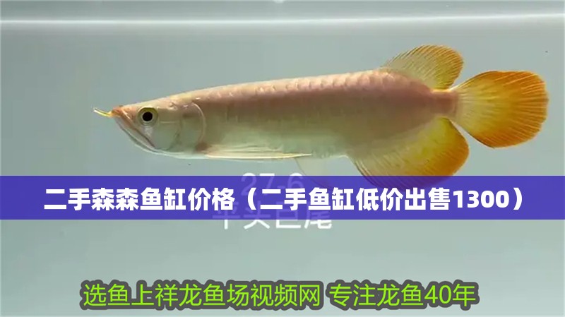 二手森森魚缸價格（二手魚缸低價出售1300）