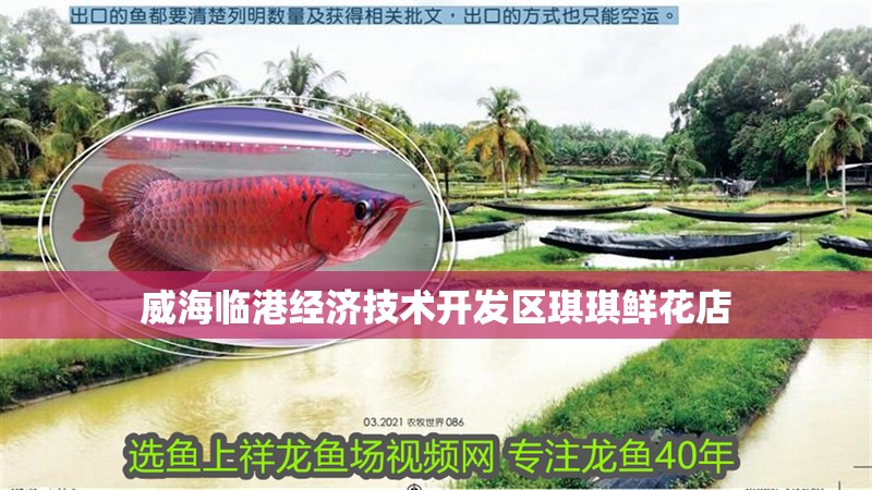 威海臨港經濟技術開發區琪琪鮮花店