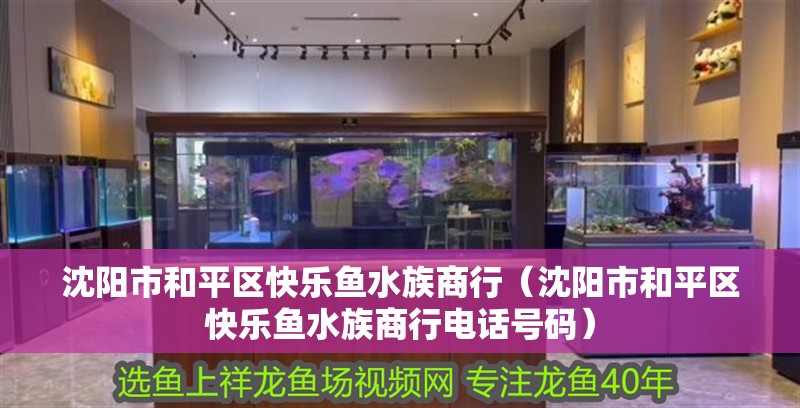 沈陽市和平區快樂魚水族商行（沈陽市和平區快樂魚水族商行電話號碼）
