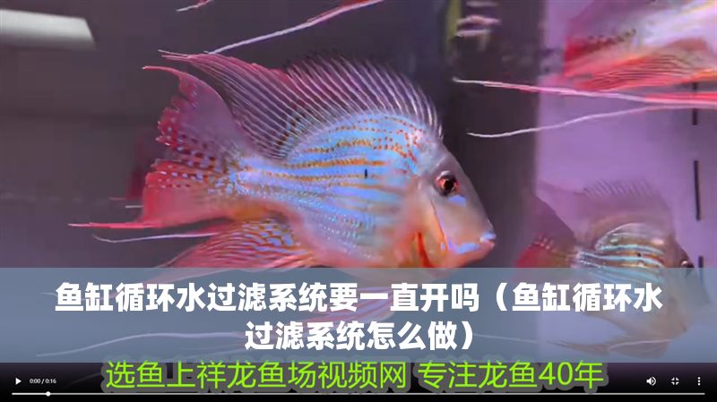 魚缸循環水過濾系統要一直開嗎（魚缸循環水過濾系統怎么做）