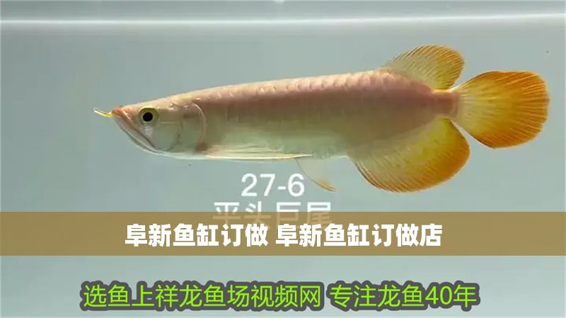 阜新魚(yú)缸訂做 阜新魚(yú)缸訂做店