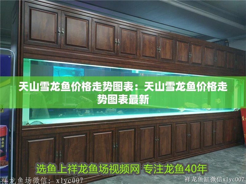 魚缸每次換水怎么換的（魚缸每次換水怎么換的好）