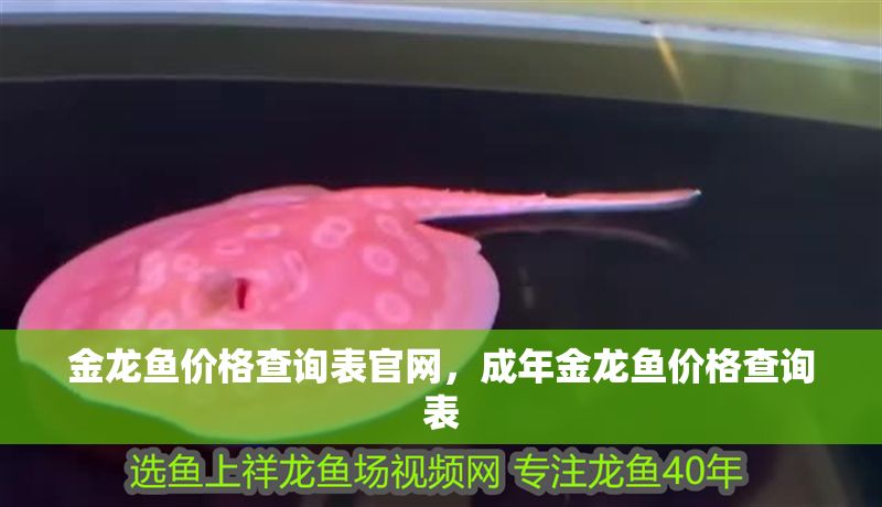 金龍魚價格查詢表官網，成年金龍魚價格查詢表
