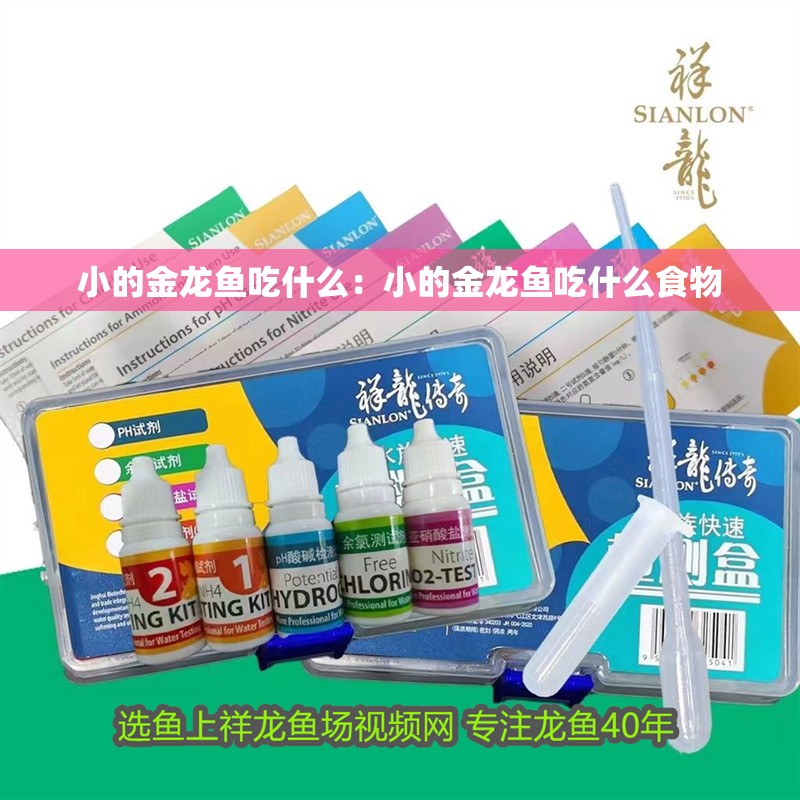 小的金龍魚吃什么：小的金龍魚吃什么食物 小的金龍魚吃什么：小的金龍魚吃什么食物 水族問答