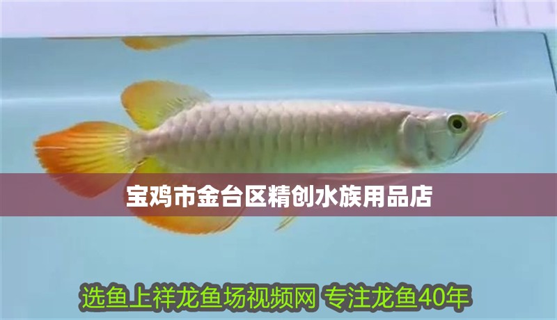 寶雞市金臺區精創水族用品店