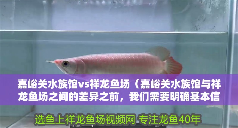 嘉峪關水族館vs祥龍魚場（嘉峪關水族館與祥龍魚場之間的差異之前，我們需要明確基本信息和特點）