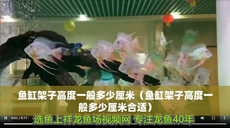 魚缸架子高度一般多少厘米（魚缸架子高度一般多少厘米合適）