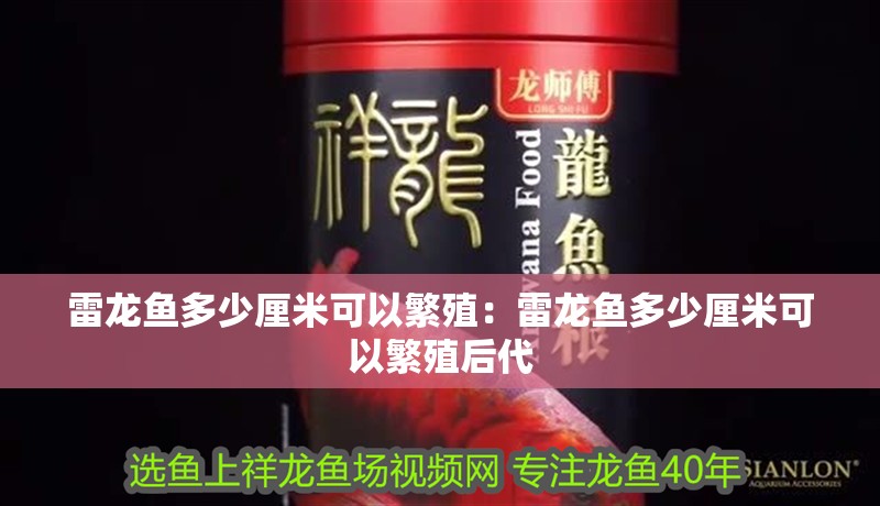 雷龍魚多少厘米可以繁殖：雷龍魚多少厘米可以繁殖后代