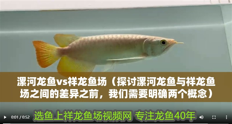 <strong><mark>漯河</mark></strong>龍魚vs祥龍魚場（探討<strong><mark>漯河</mark></strong>龍魚與祥龍魚場之間的差異之前，我們需要明確兩個概念）