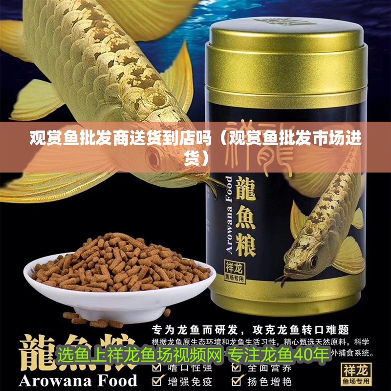 觀賞魚批發(fā)商送貨到店嗎（觀賞魚批發(fā)市場進(jìn)貨）