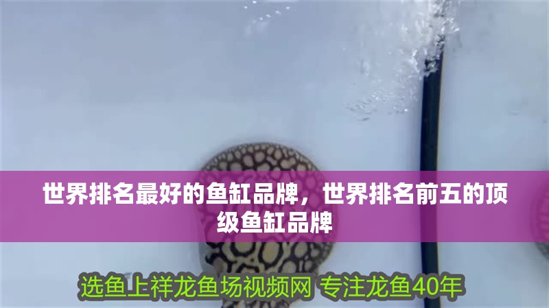 世界排名最好的魚缸品牌，世界排名前五的頂級魚缸品牌 世界排名最好的魚缸品牌，世界排名前五的頂級魚缸品牌 龍魚論壇
