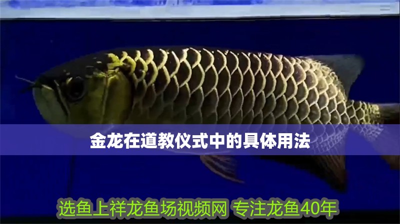 金龍在道教儀式中的具體用法