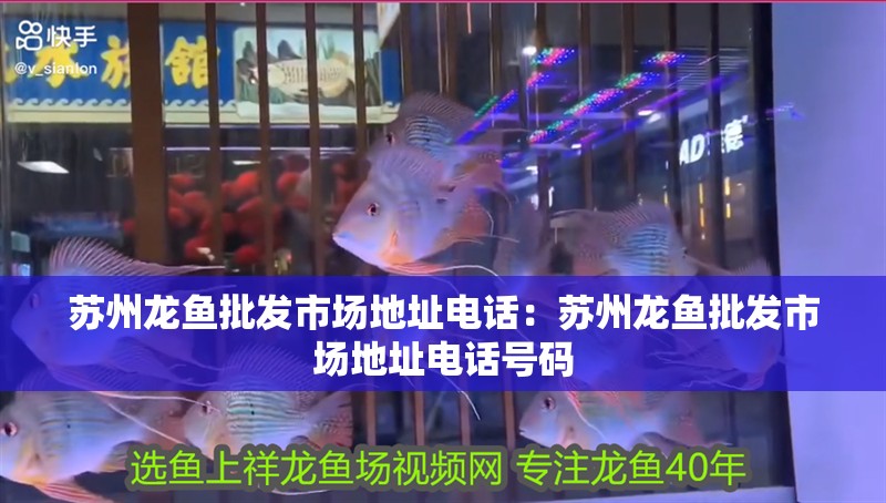 蘇州龍魚批發(fā)市場地址電話：蘇州龍魚批發(fā)市場地址電話號碼