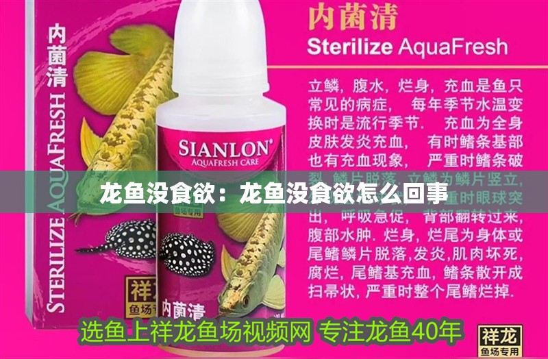龍魚沒食欲：龍魚沒食欲怎么回事 龍魚沒食欲：龍魚沒食欲怎么回事 水族問答