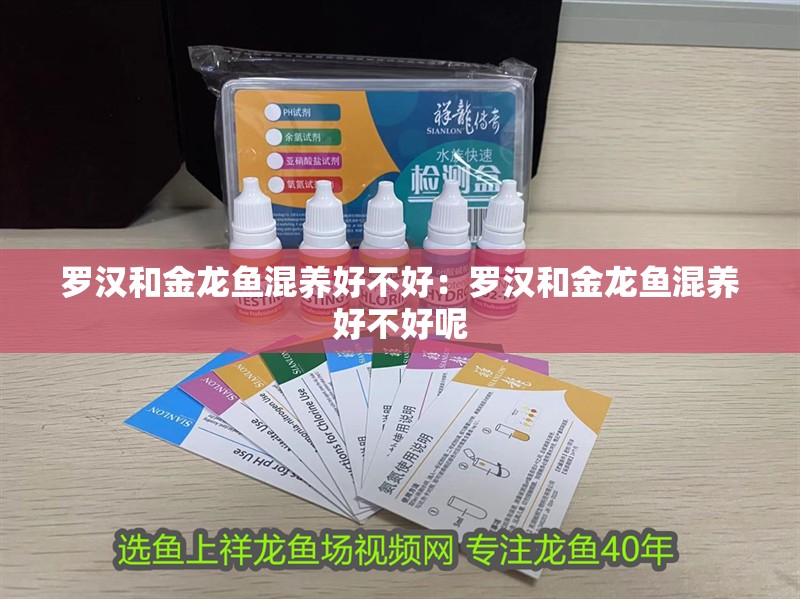 羅漢和金龍魚混養好不好:羅漢和金龍魚混養好不好呢 水族問答 羅漢和金龍魚混養好不好:羅漢和金龍魚混養好不好呢 羅漢和金龍魚混養好不好:羅漢和金龍魚混養好不好呢 水族問答