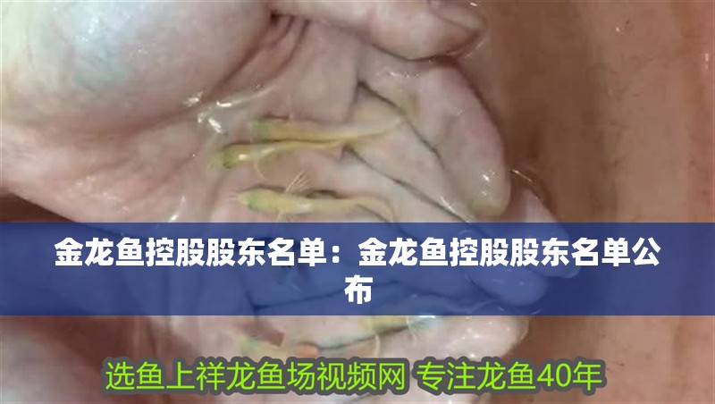 金龍魚控股股東名單：金龍魚控股股東名單公布
