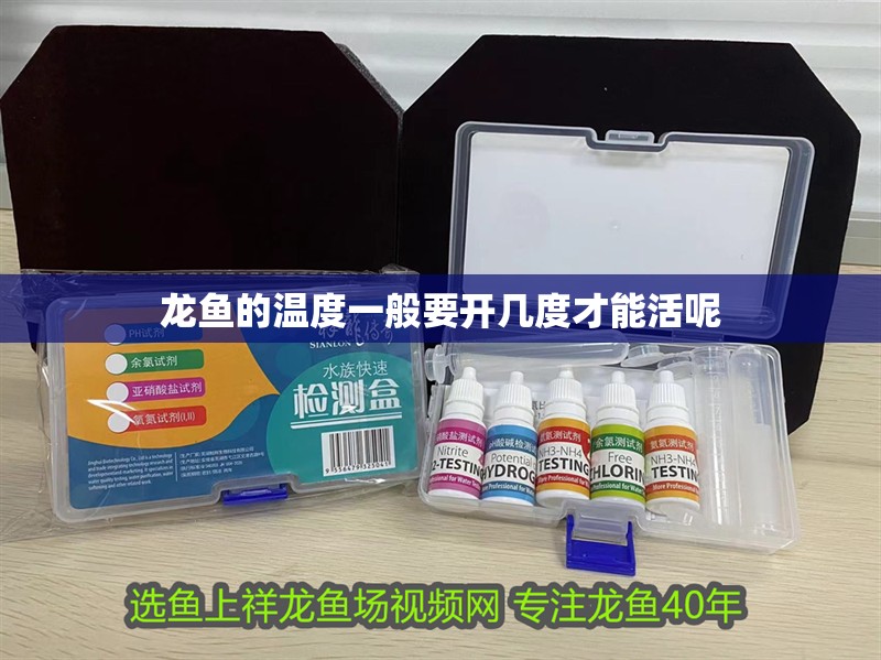 龍魚的溫度一般要開幾度才能活呢