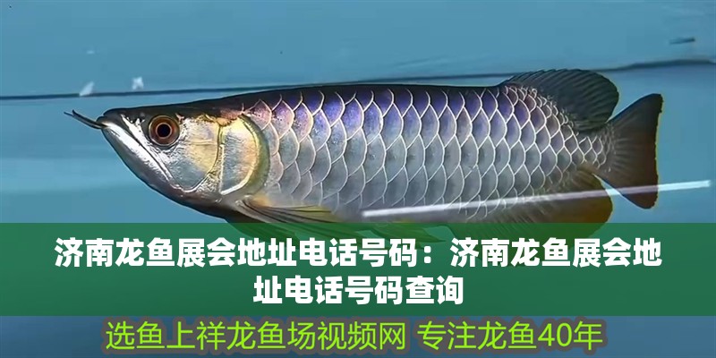濟南龍魚展會地址電話號碼：濟南龍魚展會地址電話號碼查詢