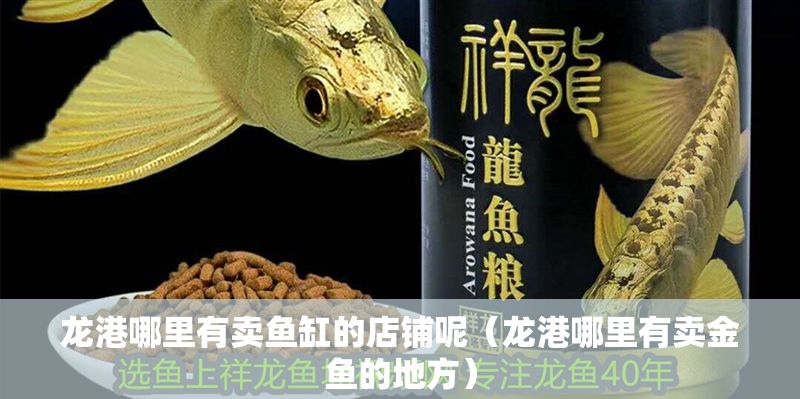 龍港哪里有賣魚缸的店鋪呢（龍港哪里有賣金魚的地方）