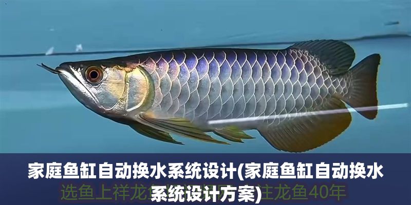 家庭魚缸自動換水系統(tǒng)設(shè)計(家庭魚缸自動換水系統(tǒng)設(shè)計方案)