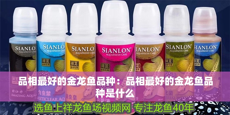 品相最好的金龍魚品種：品相最好的金龍魚品種是什么 品相最好的金龍魚品種：品相最好的金龍魚品種是什么 水族問答